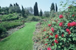 Meraviglioso giardino ambientazioni floreali armonie di profumi e colori